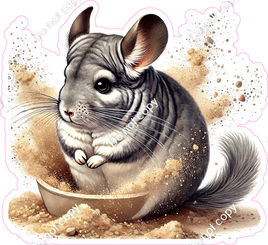 Chinchilla in Sand