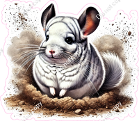Chinchilla in Sand