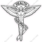 Chiropractic Caduceus