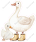 Goose with Boots and Baby