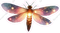 Firefly
