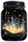 Enchanted Jar