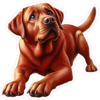 Red Lab