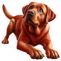 Red Lab