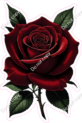 Red Rose