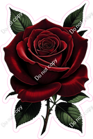 Red Rose