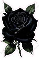 Black Rose