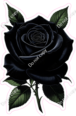 Black Rose