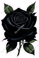 Black Rose