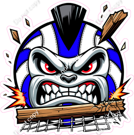 Volleyball Character