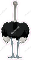 Ostrich