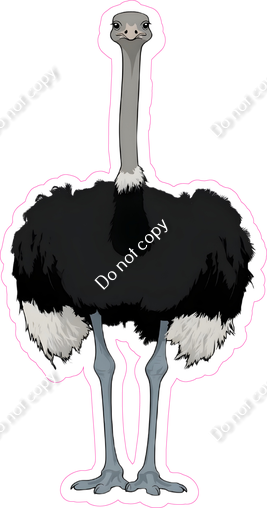 Ostrich