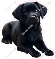 Lab - Labrador Retriever