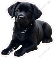 Lab - Labrador Retriever