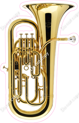 Euphonium Instrument