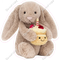 Stuffed Rabbit with Cake