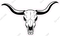 Longhorn Skull