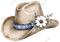 Blue Country - Cowboy Hat