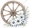 Blue Country - Wheel
