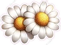 Daisy