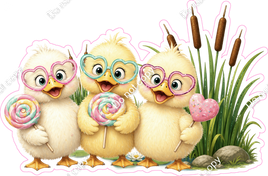 Ducks