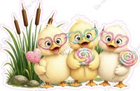 Ducks