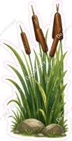 Cat Tails