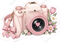 Wedding Camera