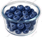 Container - Blueberries