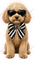 Mackenzie Childs - Dog