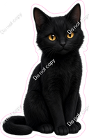 Black Cat
