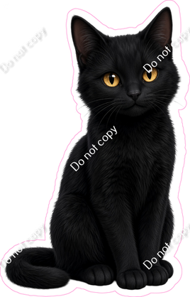 Black Cat