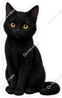 Black Cat