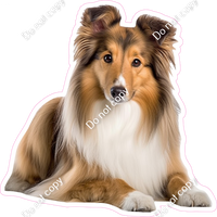 Sheltie Dog w/ Variants