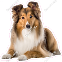 Sheltie Dog w/ Variants