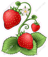 Strawberries on Vine 1 w/ Variants