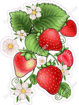 Strawberries on Vine 2 w/ Variants