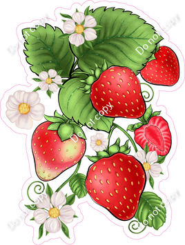 Strawberries on Vine 2
