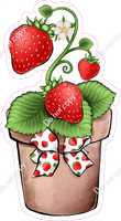 Strawberries in Pot 1 w/ Variants