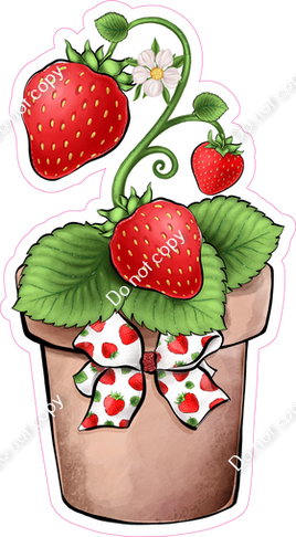 Strawberries in Pot 1 w/ Variants