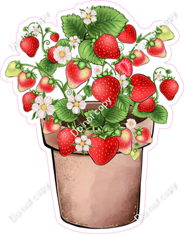 Strawberries in Pot 2