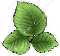 Strawberry Leaves w/ Variants