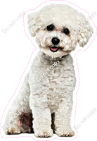 Bichon Frise Dog w/ Variants