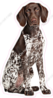 German Shorthair Pointer Dog w/ Variants