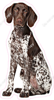 German Shorthair Pointer Dog w/ Variants