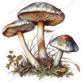 Mushroom 2 w/ Variants