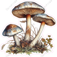 Mushroom 2 w/ Variants