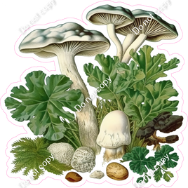 Mushroom 3 w/ Variants