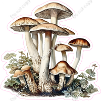 Mushroom 4 w/ Variants