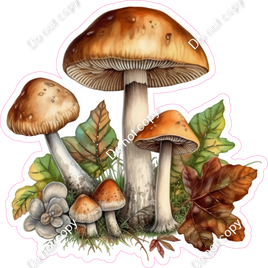 Mushroom 5 w/ Variants